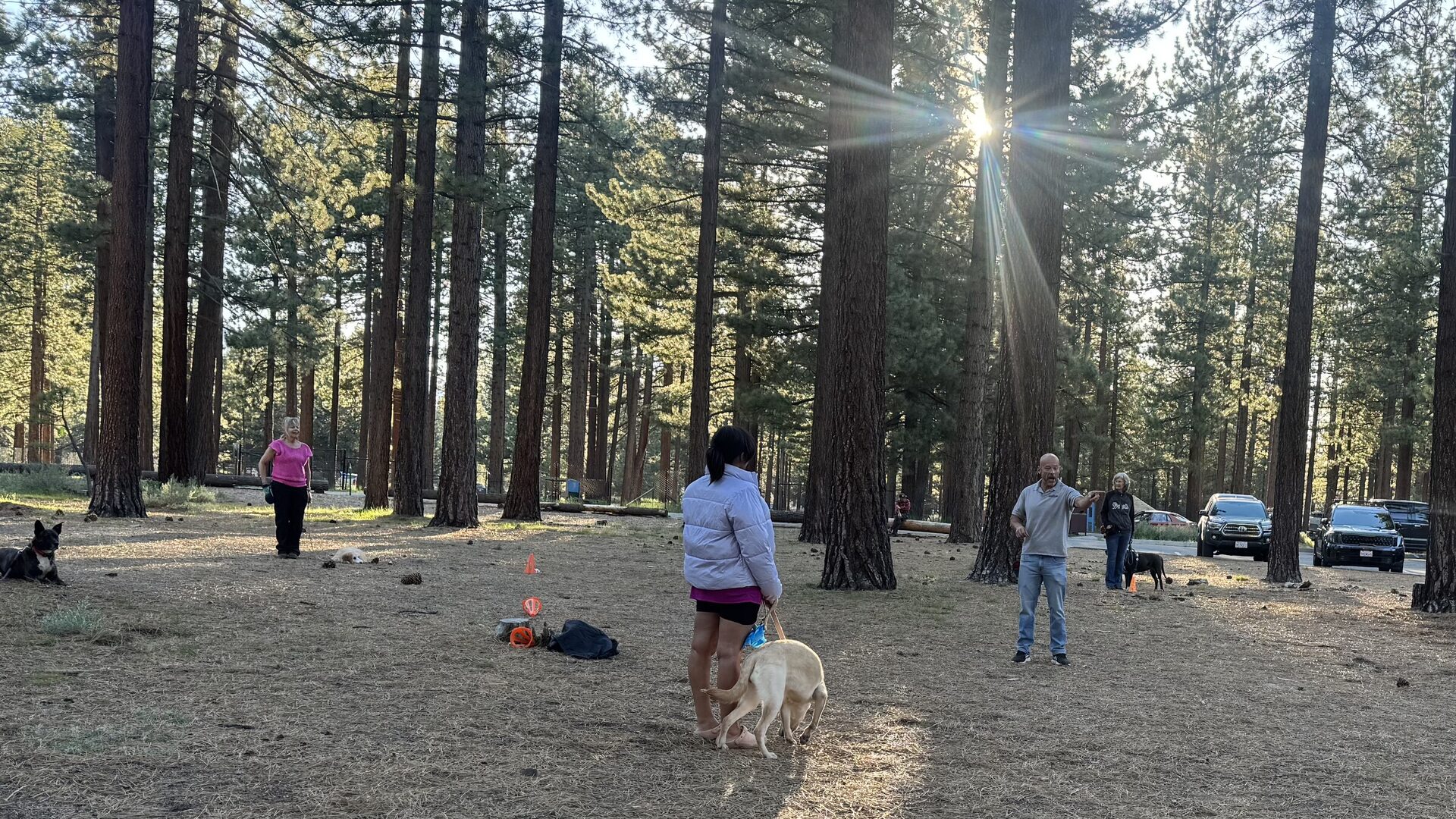Scott Mara coaching a group obedience class at Bijou Park in South Lake Tahoe, sunlight breaking through tall pines, handlers working dogs on long lines