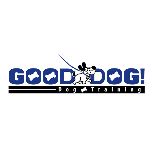 Good Dog Tahoe